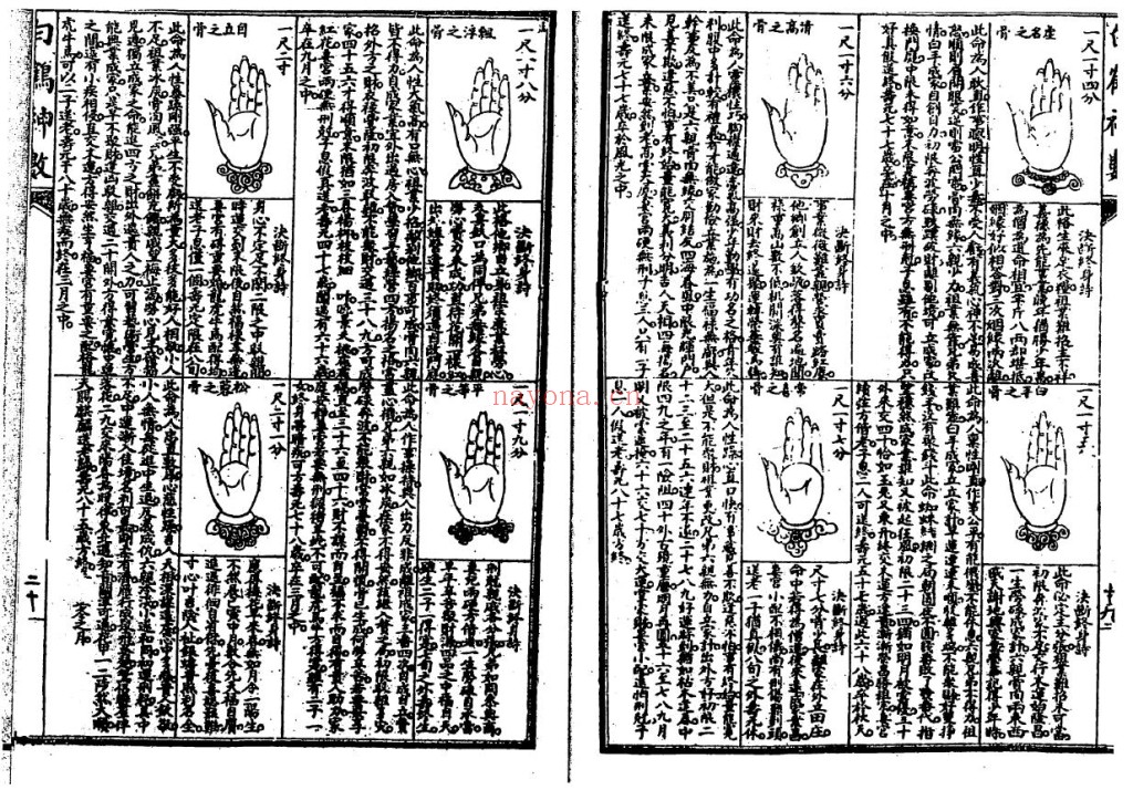 绘图六壬金钱课-牙牌神数七种-白鹤神数pdf