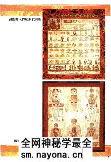 《西藏科学技术史》.pdf电子版_西藏自治区志预览图5
