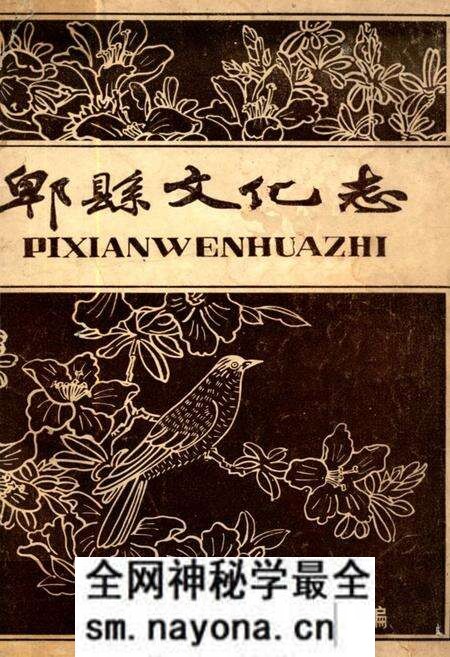 《郫县文化志》.pdf电子版_四川省志预览图