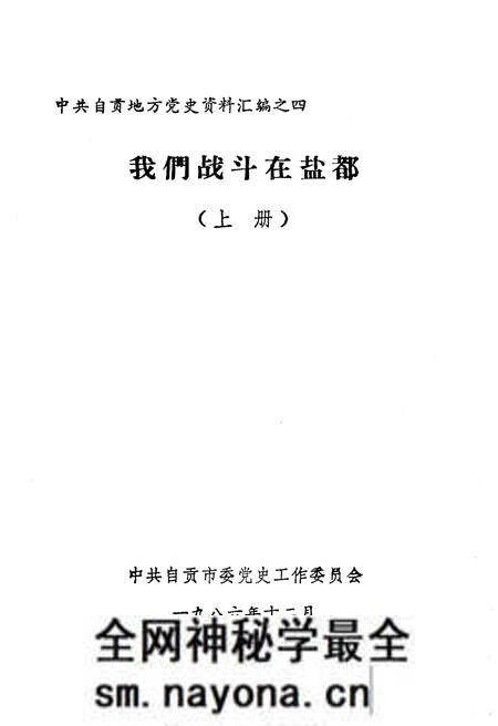 《我们战斗在盐都 上》.pdf电子版_四川省志预览图1