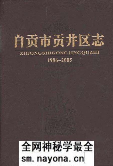 《自贡市贡井区志1986-2005》.pdf电子版_四川省志预览图