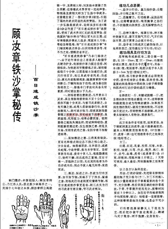 顾汝章铁砂掌pdf