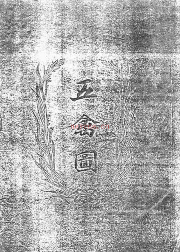 五禽戏石印本pdf