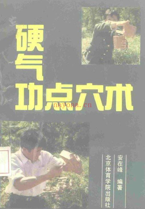 硬气功点穴术.安在峰pdf