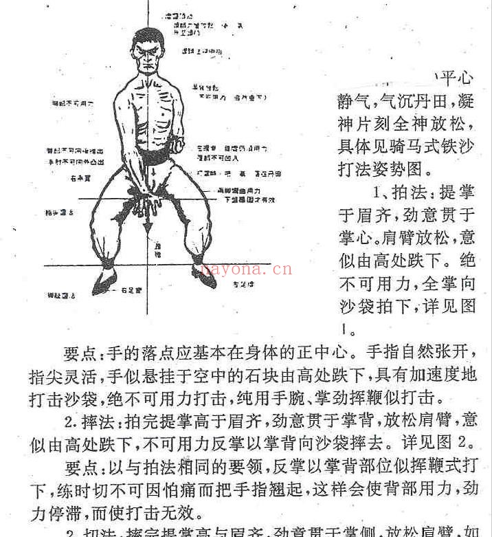 顾汝章铁砂掌pdf