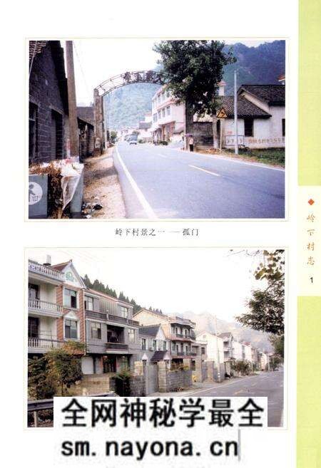 《岭下村志》.pdf电子版_浙江省志预览图5