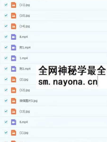 茅山阴师派修炼秘旨视频+课件