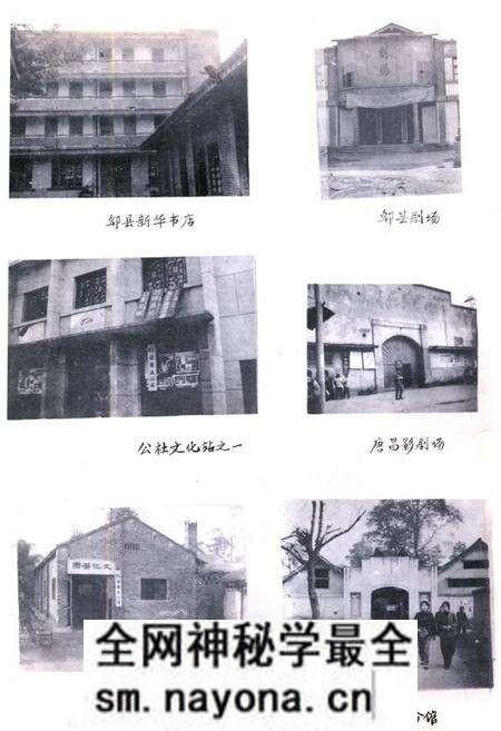 《郫县文化志》.pdf电子版_四川省志预览图3
