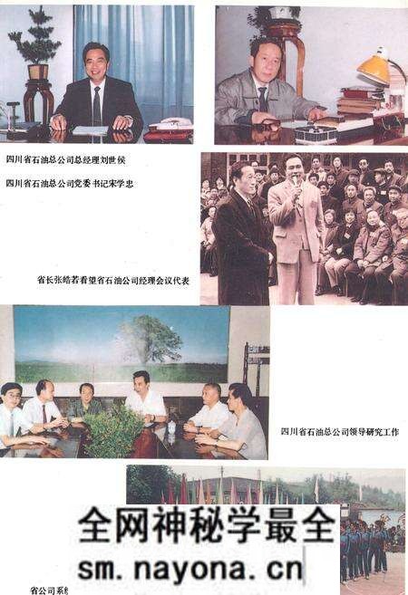 《四川省石油公司志》.pdf电子版_四川省志预览图3