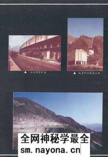 《四川省蛇纹石矿矿志1950-1990》.pdf电子版_四川省志预览图3
