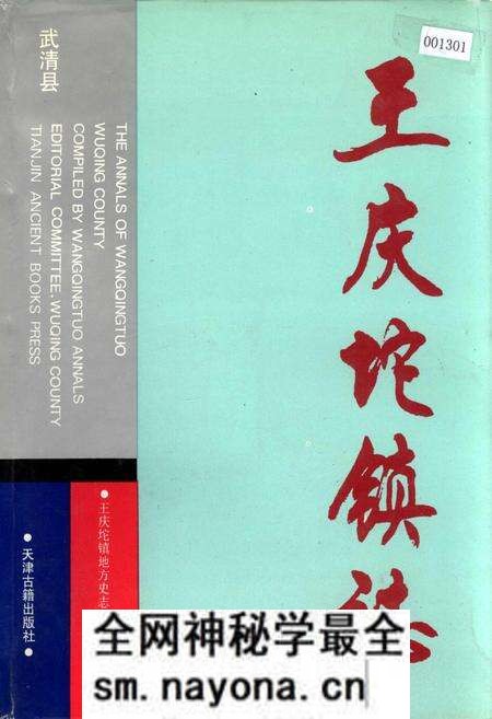 《武清县 王庆坨镇志》.pdf电子版_天津市志预览图