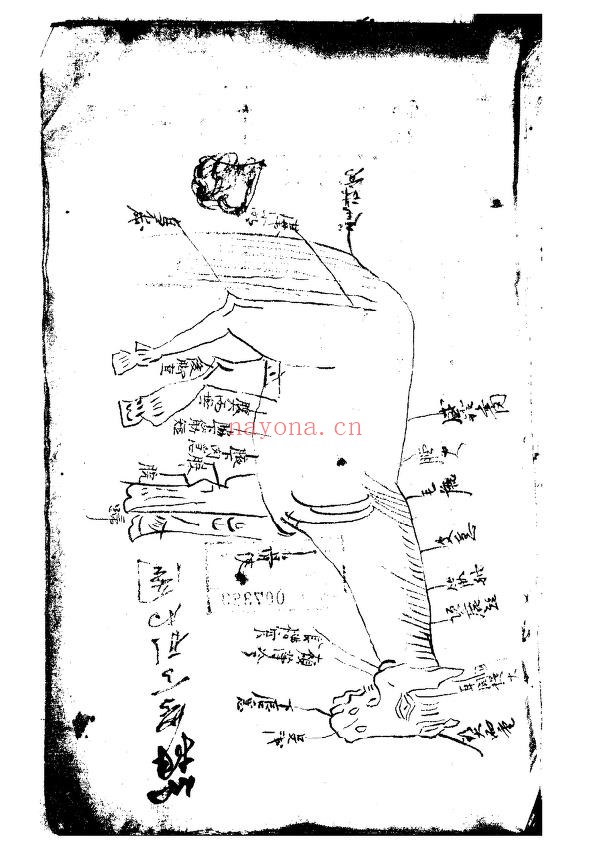 相牛法 相马法pdf
