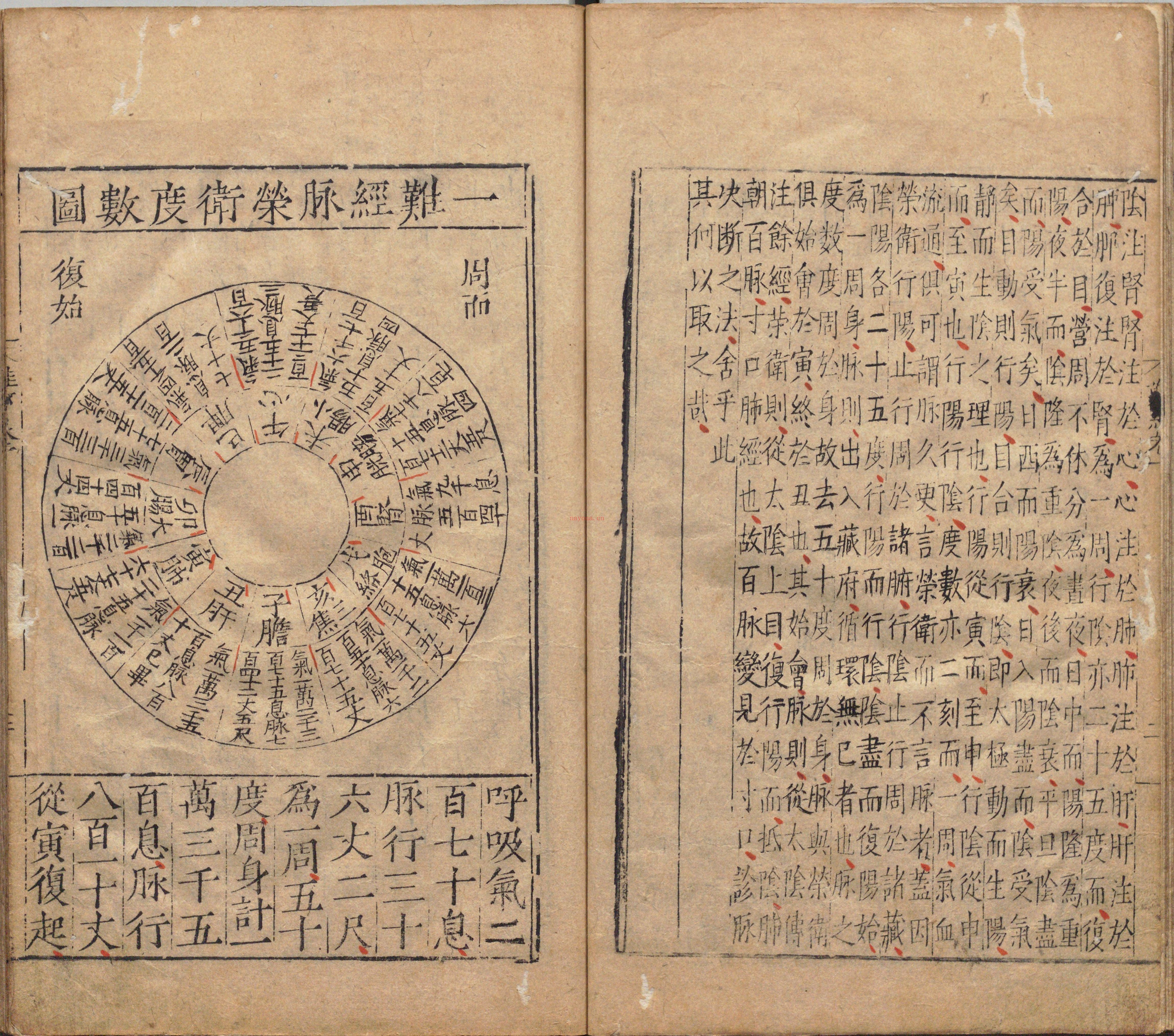 难经经释PDF和图注难经八十一难经PDF三册八卷.明.张世贤撰
