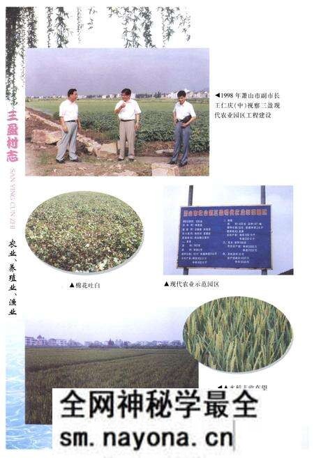 《三盈村志》.pdf电子版_浙江省志预览图5 《三盈村志》.pdf电子版_浙江省志预览图5