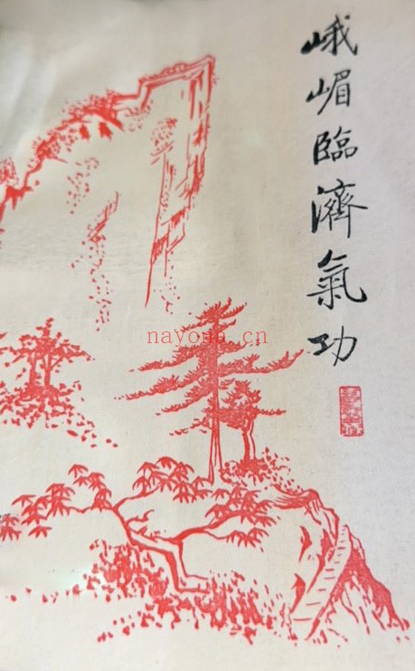 峨嵋临济气功：峨嵋外气诊治应用与硬气功.傅伟pdf