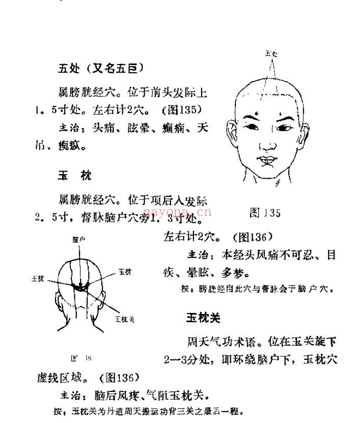 峨嵋临济气功：峨嵋外气诊治应用与硬气功.傅伟pdf