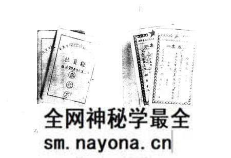 《大安区供销合作志》.pdf电子版_四川省志预览图4
