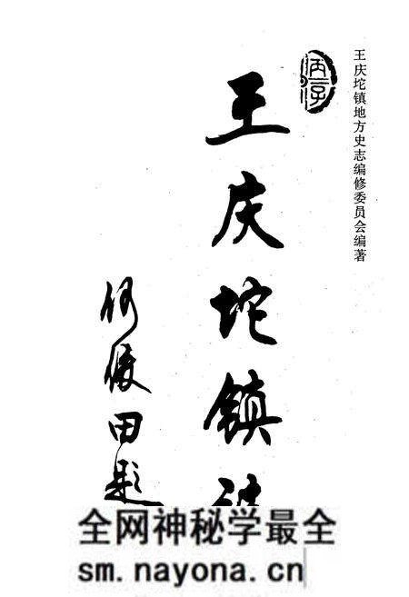 《武清县 王庆坨镇志》.pdf电子版_天津市志预览图1