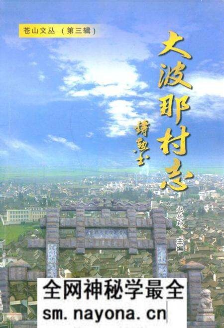 《大波那村志》.pdf电子版_云南省志预览图