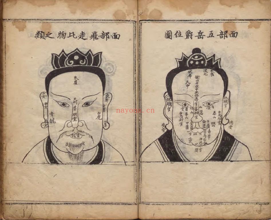 新编相法五总龟 朝鲜万暦18年写本