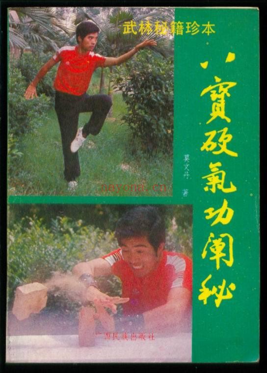 八宝硬气功阐秘pdf