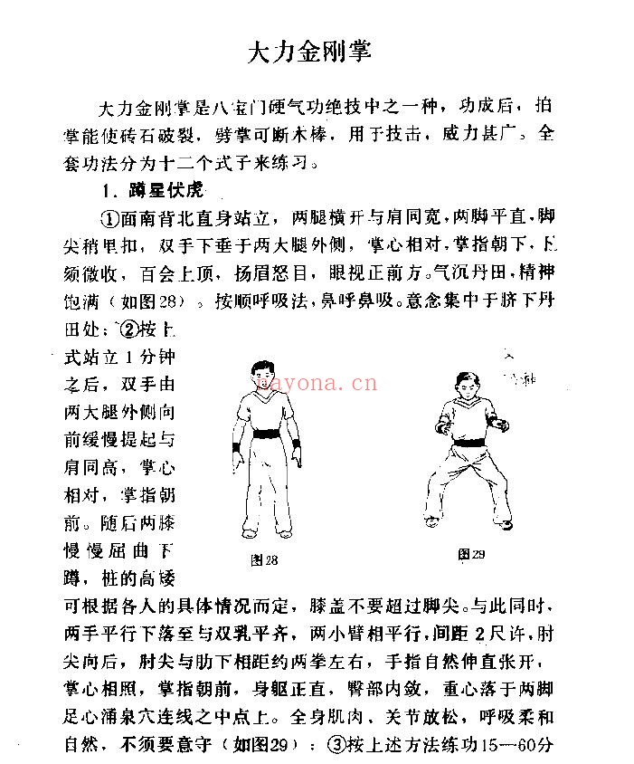八宝硬气功阐秘pdf