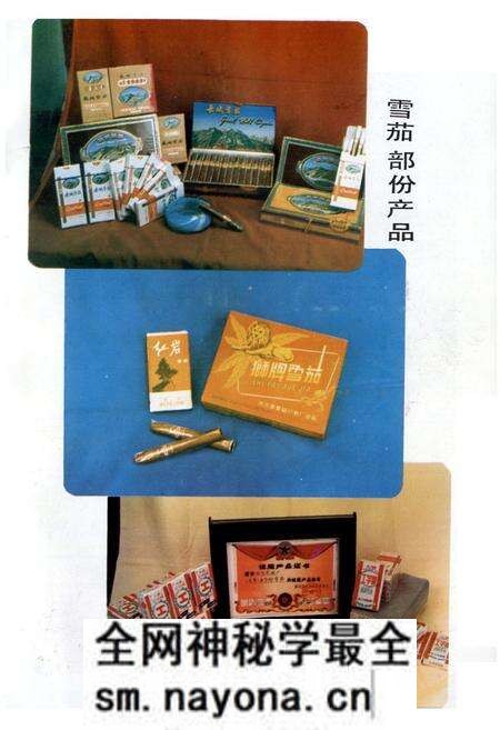 《什邡卷烟厂厂志》.pdf电子版_四川省志预览图5