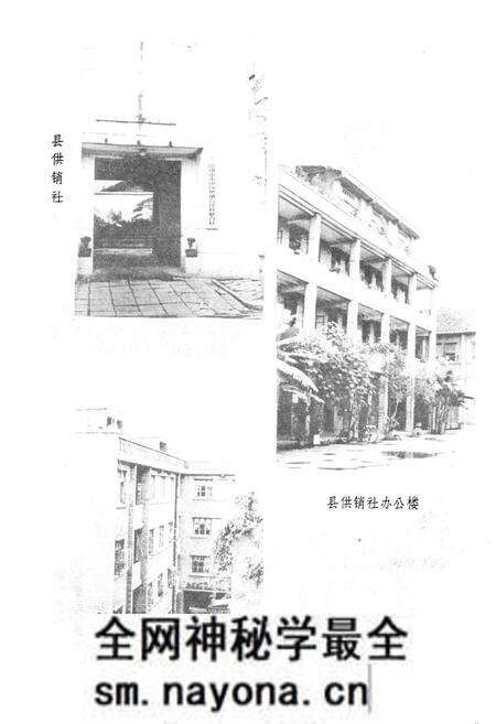 《德阳县供销合作社志》.pdf电子版_四川省志预览图3 《德阳县供销合作社志》.pdf电子版_四川省志预览图3