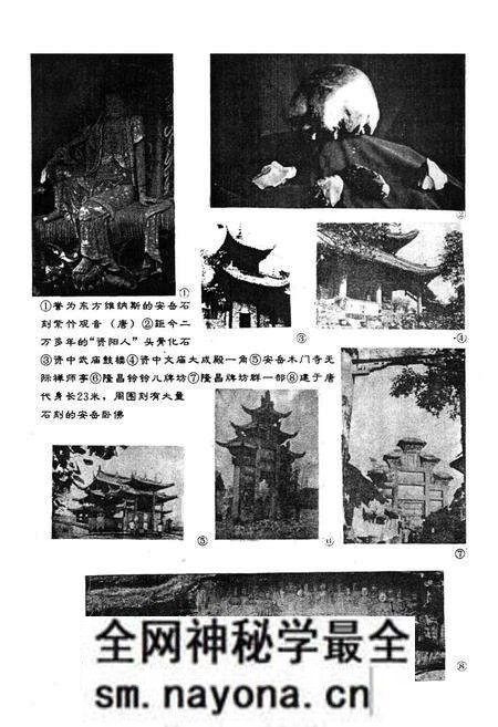 《内江地区文化志》.pdf电子版_四川省志预览图4