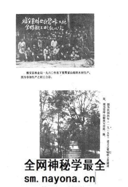《雅安市林业志》.pdf电子版_四川省志预览图5