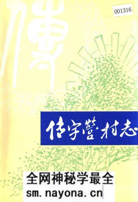 《传字营村志》.pdf电子版_天津市志预览图