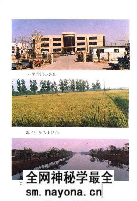 《八里台镇志》.pdf电子版_天津市志预览图5