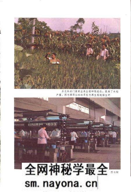 《四川省铜梁县地名录》.pdf电子版_重庆市志预览图2