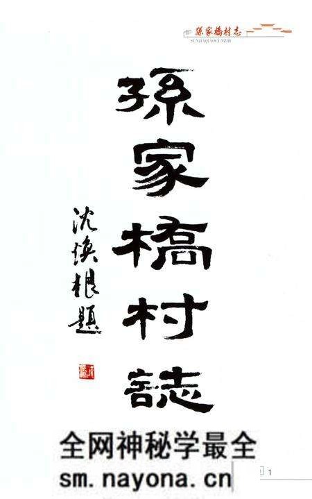 《孙家桥村志》.pdf电子版_浙江省志预览图3