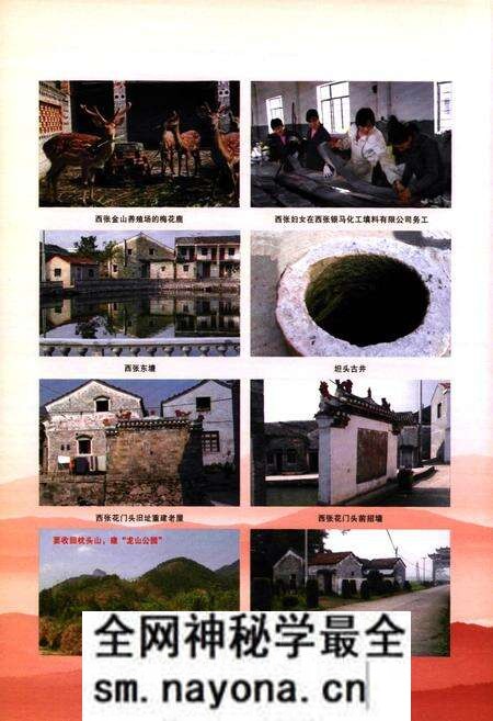 《西张村志》.pdf电子版_浙江省志预览图5 《西张村志》.pdf电子版_浙江省志预览图5