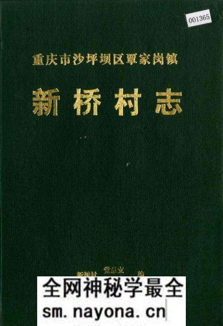 《新桥村志》.pdf电子版_重庆市志预览图