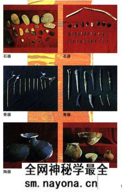 《西藏科学技术史》.pdf电子版_西藏自治区志预览图3