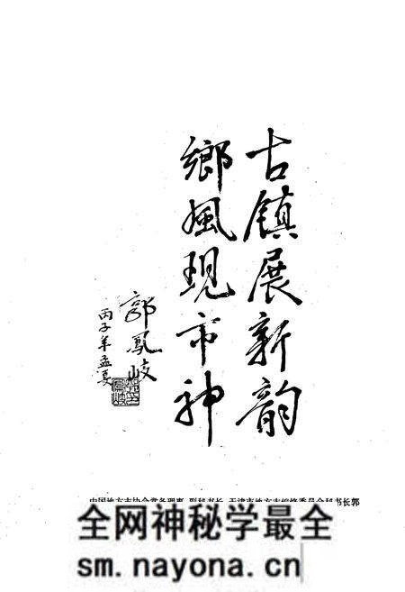 《武清县 王庆坨镇志》.pdf电子版_天津市志预览图4