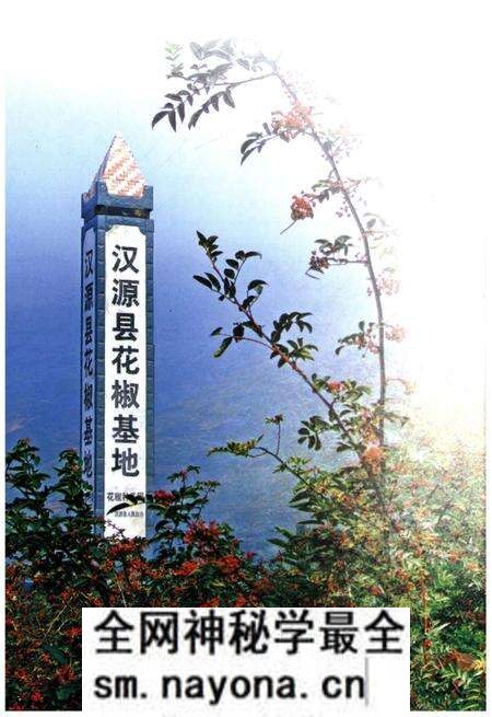 《汉源简志1786-2013》.pdf电子版_四川省志预览图4