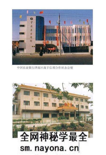 《津南区农业银行志》.pdf电子版_天津市志预览图4