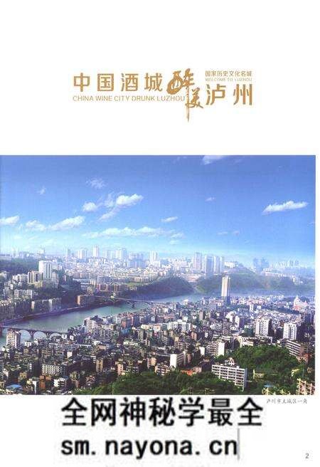 《泸州市人民政府志1991-2010》.pdf电子版_四川省志预览图4