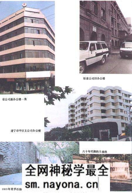 《四川省石油公司志》.pdf电子版_四川省志预览图4