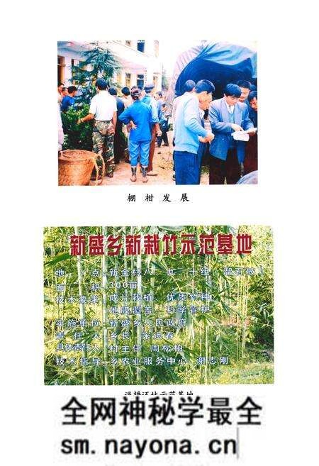 《犍为县新盛乡志》.pdf电子版_四川省志预览图2