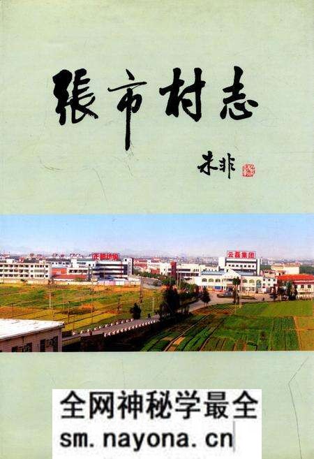 《张市村志》.pdf电子版_浙江省志预览图