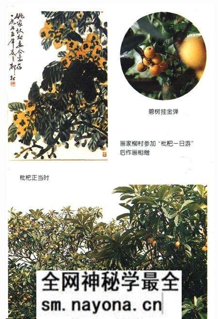 《姚家埭村志》.pdf电子版_浙江省志预览图3 《姚家埭村志》.pdf电子版_浙江省志预览图3