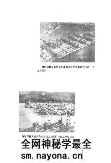 《雅安市林业志》.pdf电子版_四川省志预览图4