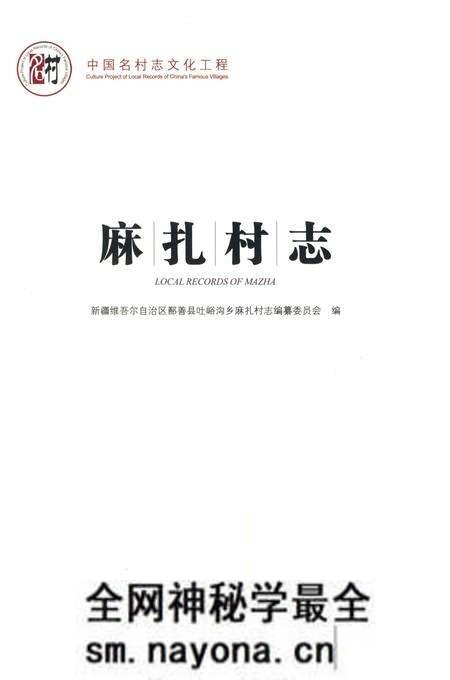 《麻扎村志》.pdf电子版_新疆维吾尔自治区志预览图2