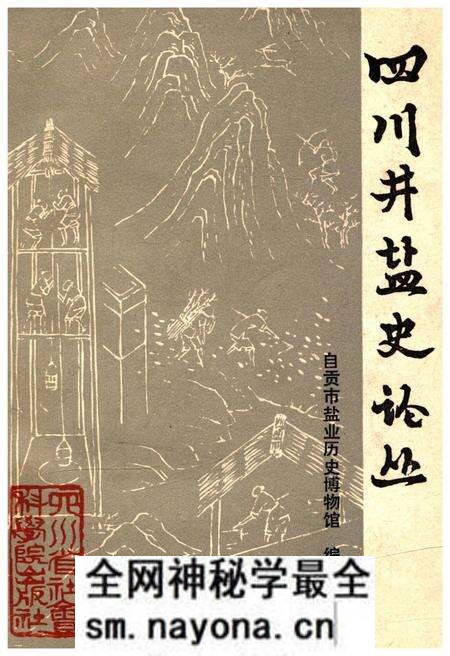 《四川井盐史论丛》.pdf电子版_四川省志预览图