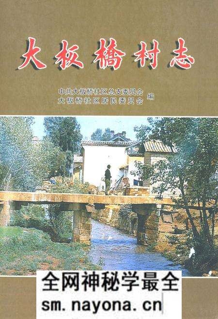 《《大板桥村志》》.pdf电子版_云南省志预览图