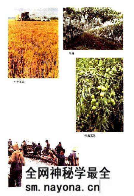 《南河镇志》.pdf电子版_天津市志预览图5